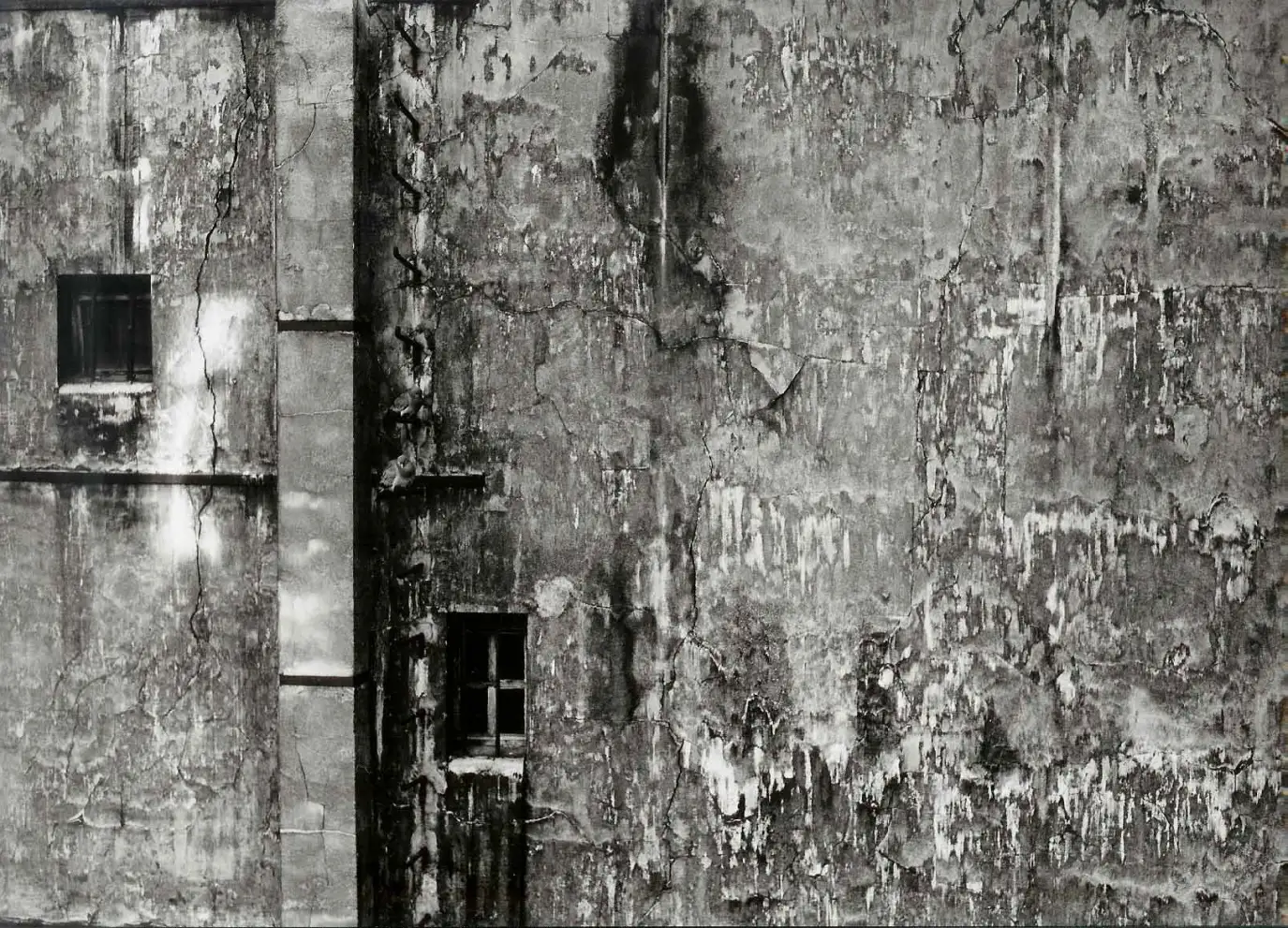 Le mur d'en face, Paris 1995