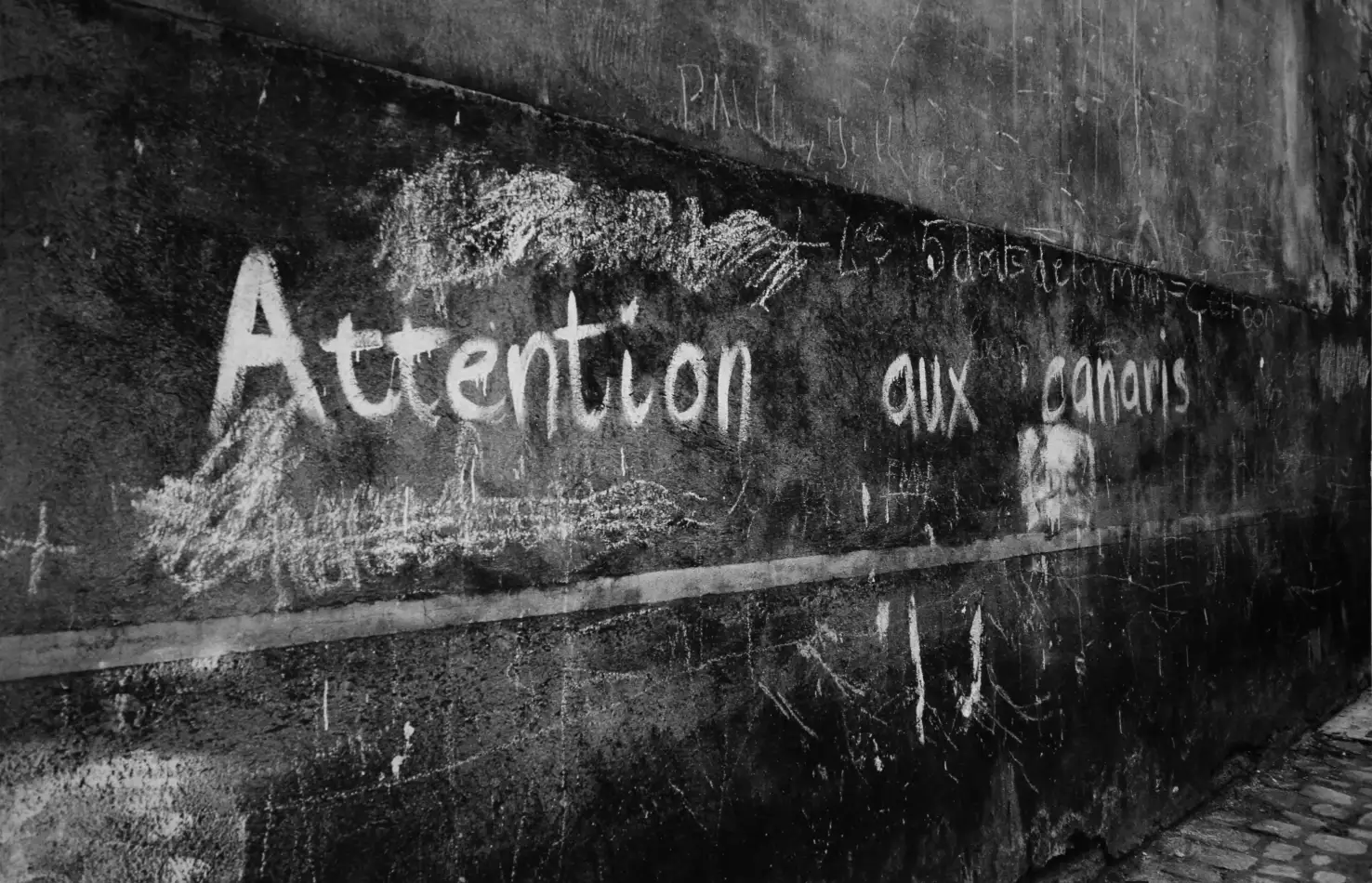 Attention aux canaris, Belleville, Paris 1994