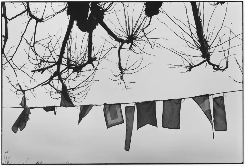 8. Nautical flags, Montallegro 2011